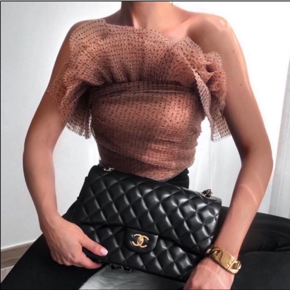 ZARA Tulle Crop Top XS